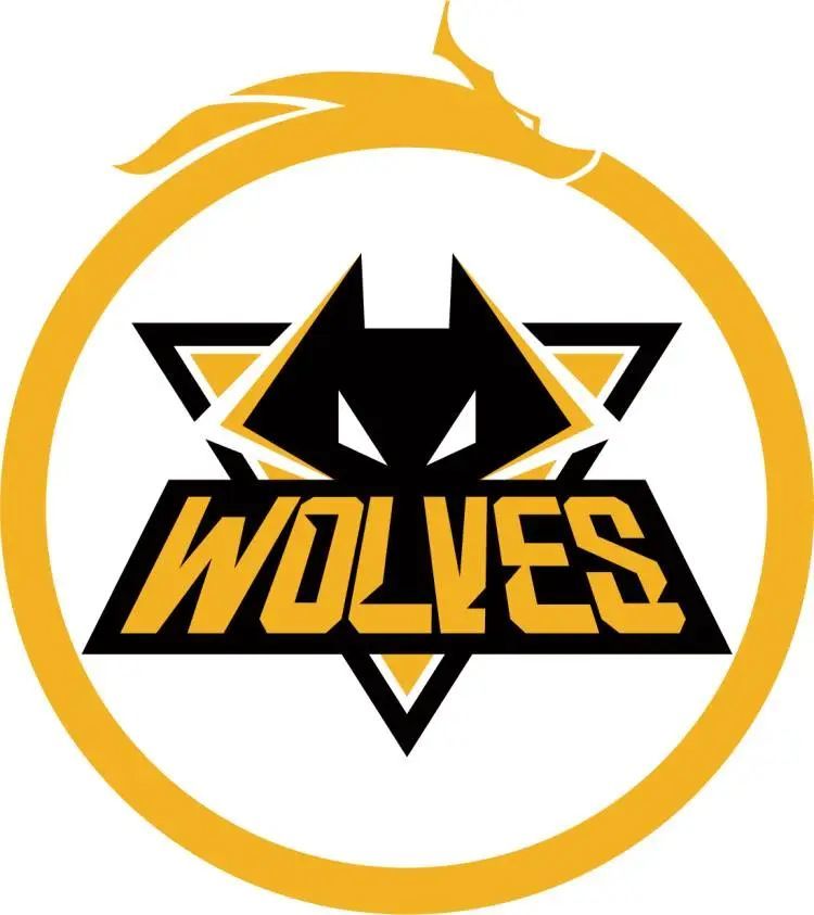 CSGO Navi主教练确认sdy将代表NaVi出战里约Major